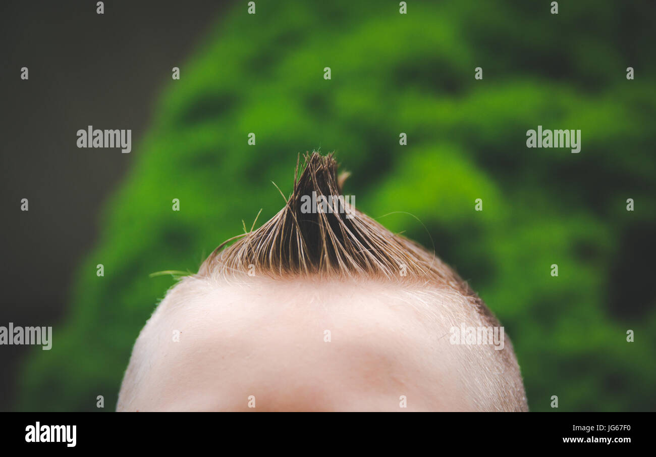 A spiked hair cut on a boy. Stock Photo