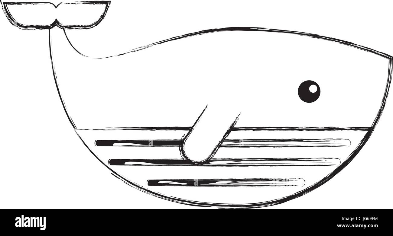 cute whale isolated icon vector illustration design Stock Vector Image ...