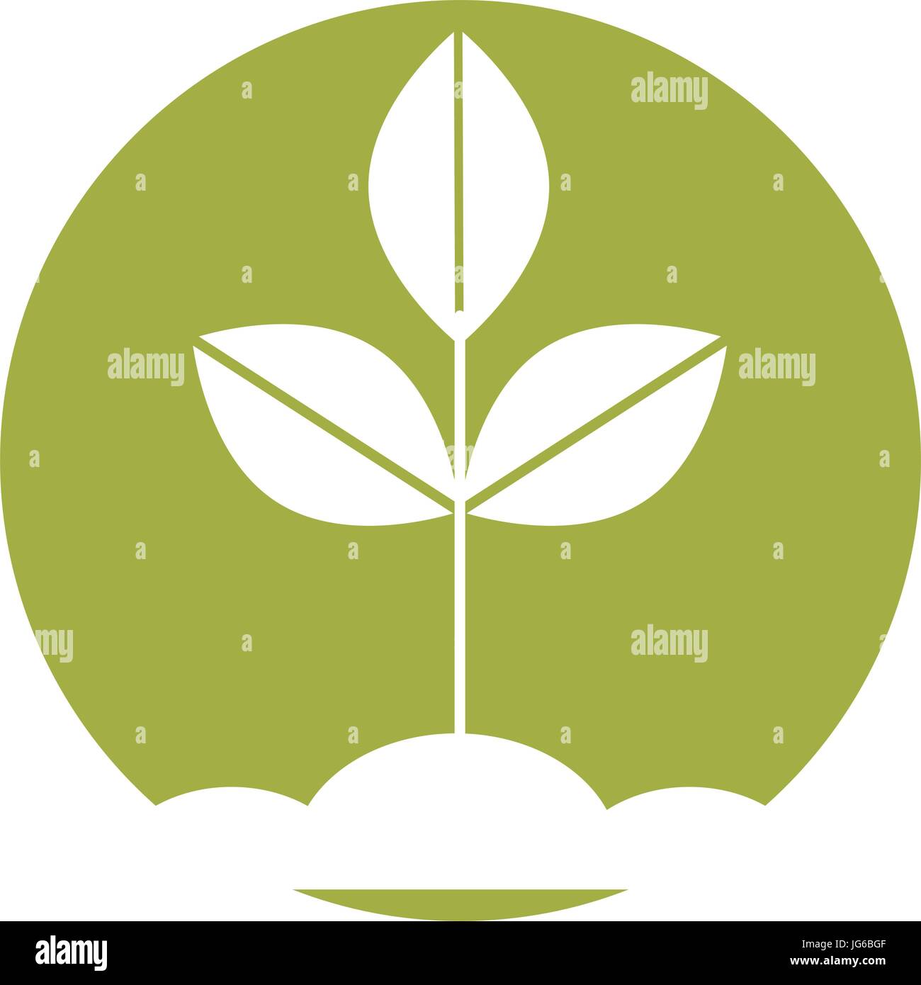 Cultivated plant isolated icon Stock Vector Image & Art - Alamy
