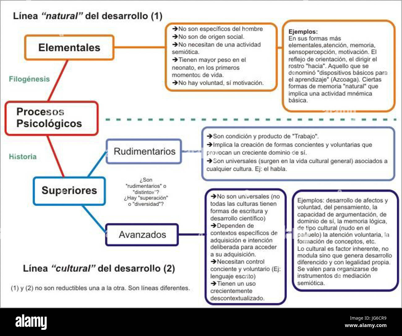 Procesos Psicológicos - Líneas de Desarrollo 28Vigotsky29 Stock Photo