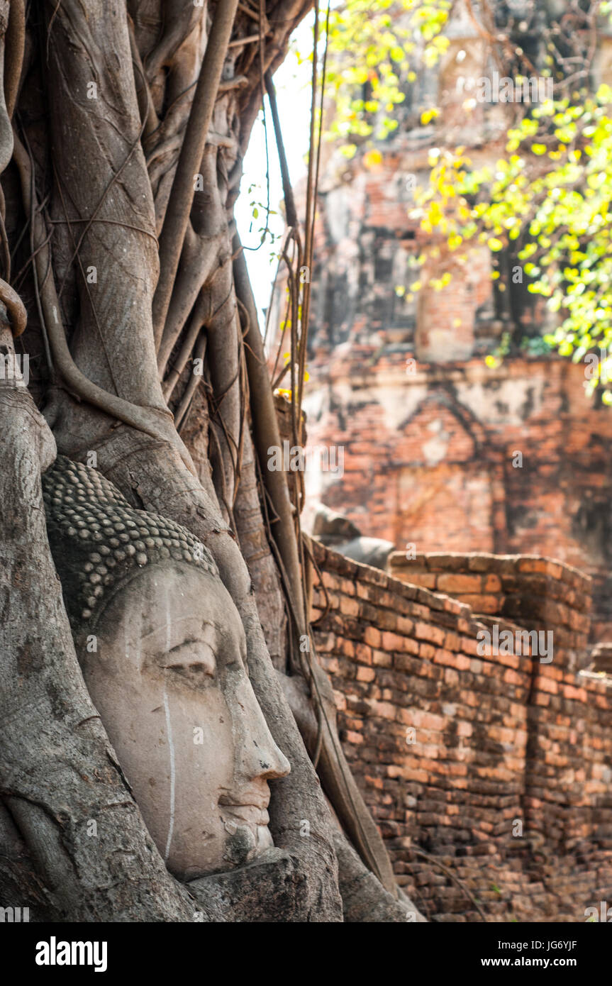 Ayutthaya ruins thailand face hi-res stock photography and images - Alamy