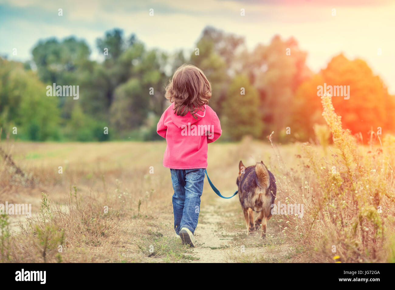 Happy little girl walking with dog on the field Stock Photo - Alamy