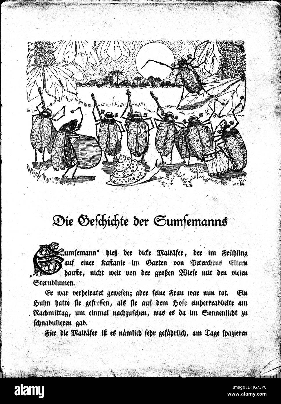 Seite 1 mit Maikäfer-Band vor Affenbrotbäumen und Maiglöckchen Stock Photo