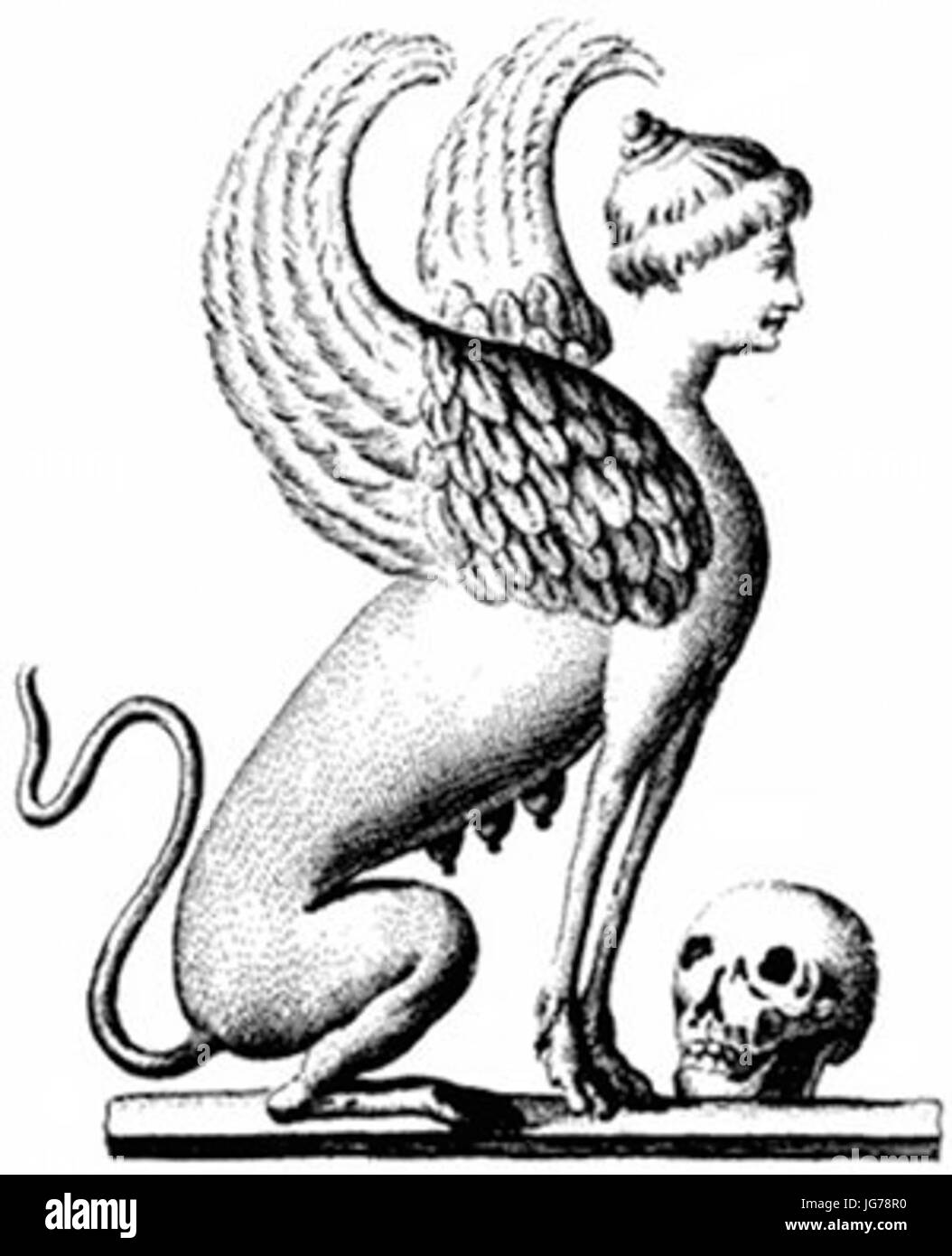 Sphinx from  Elegia di Tommaso Gray poeta inglese per esso scritta in un cimitero campestre tradotta in versi italiani  28177629 Stock Photo