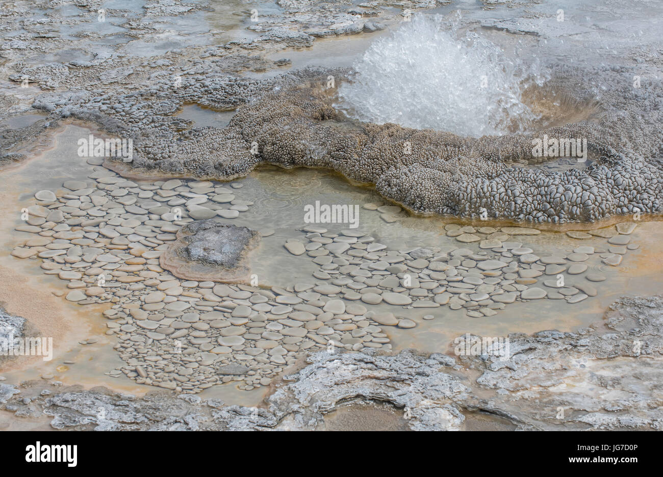 Hot spring erupting, Yellowstone National Park, Wyoming USA Stock Photo