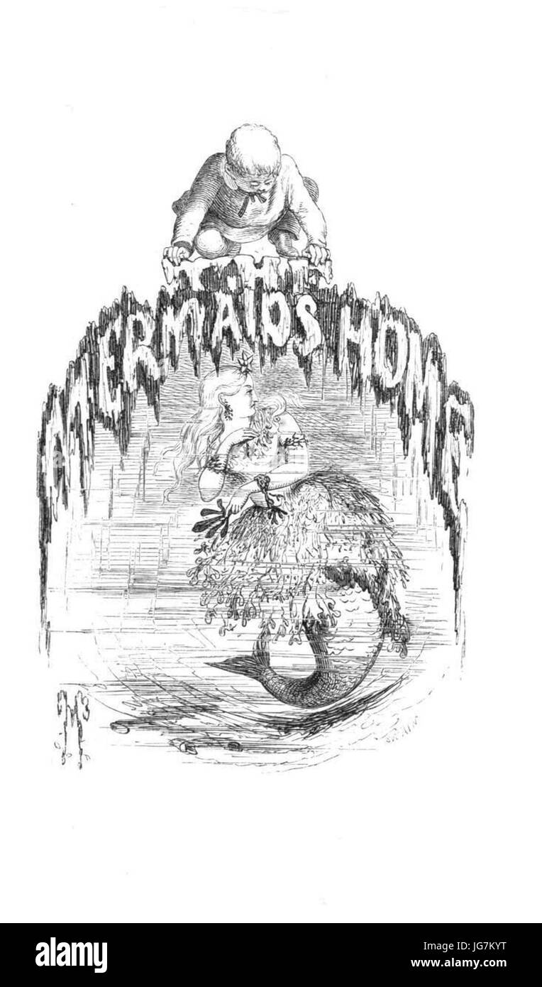 The Mermaid's Home   The fairy tales of science Stock Photo