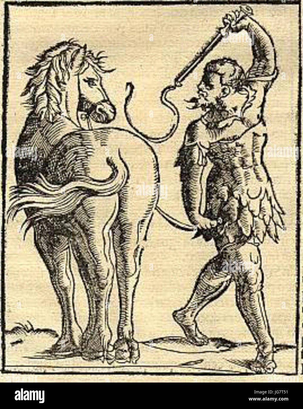 Training of Bucephalus from Cosmographia 28154429 by Sebastian Münster ...