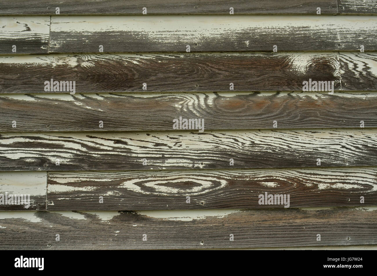 weathered wood grain white flaking paint Stock Photo Alamy
