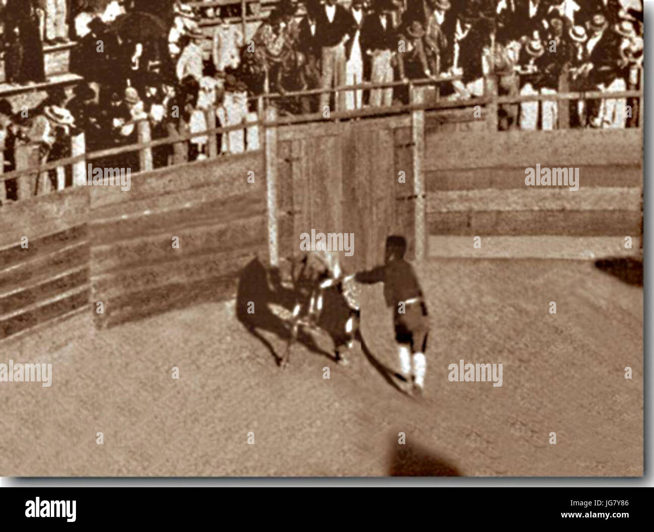Um Bandarilheiro em Ação na Arena da Praça de Touros - 1904 Stock Photo