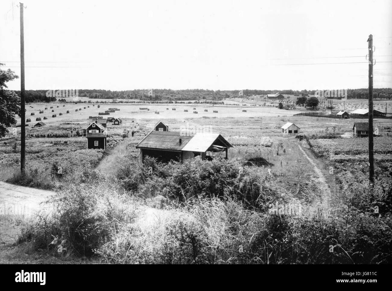 Västberga ägor 1920 Stock Photo - Alamy