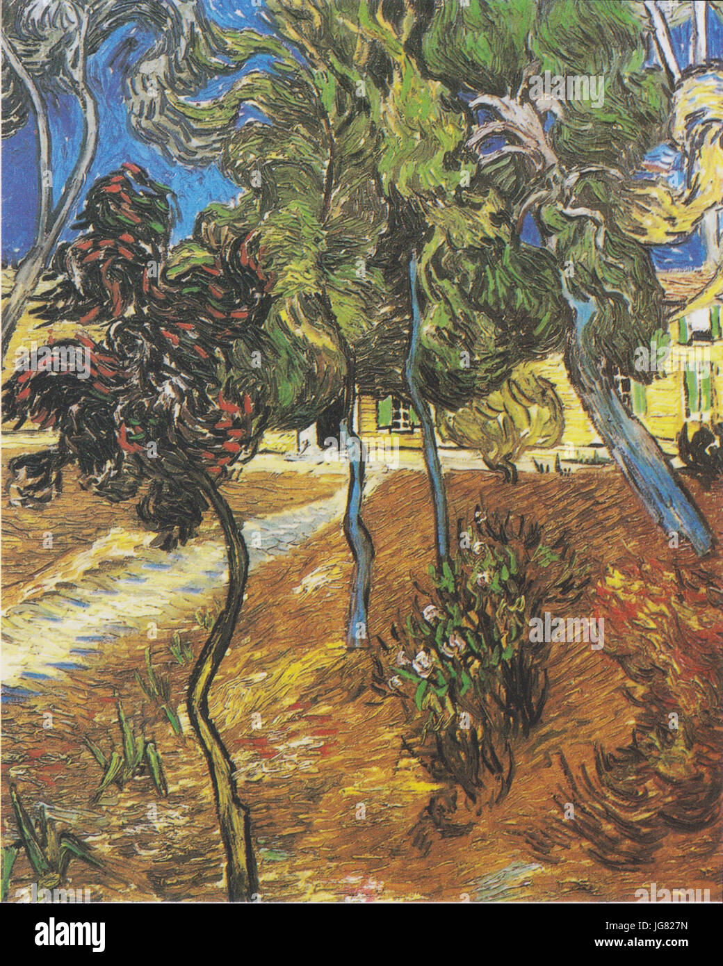 Van Gogh Bäume im Garten des Hospitals SaintPaul1 Stock Photo Alamy