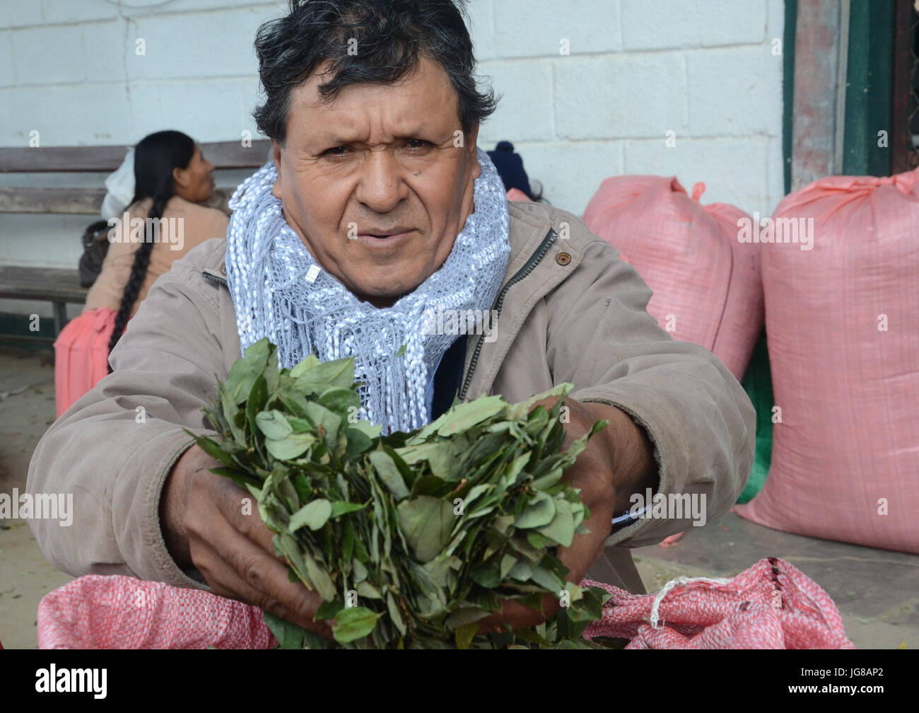 Chapare bolivia hires stock photography and images Alamy