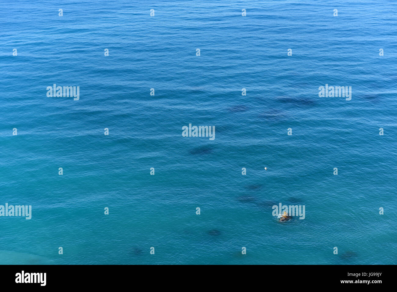Background of blue sea surface. Calm sea water Stock Photo - Alamy