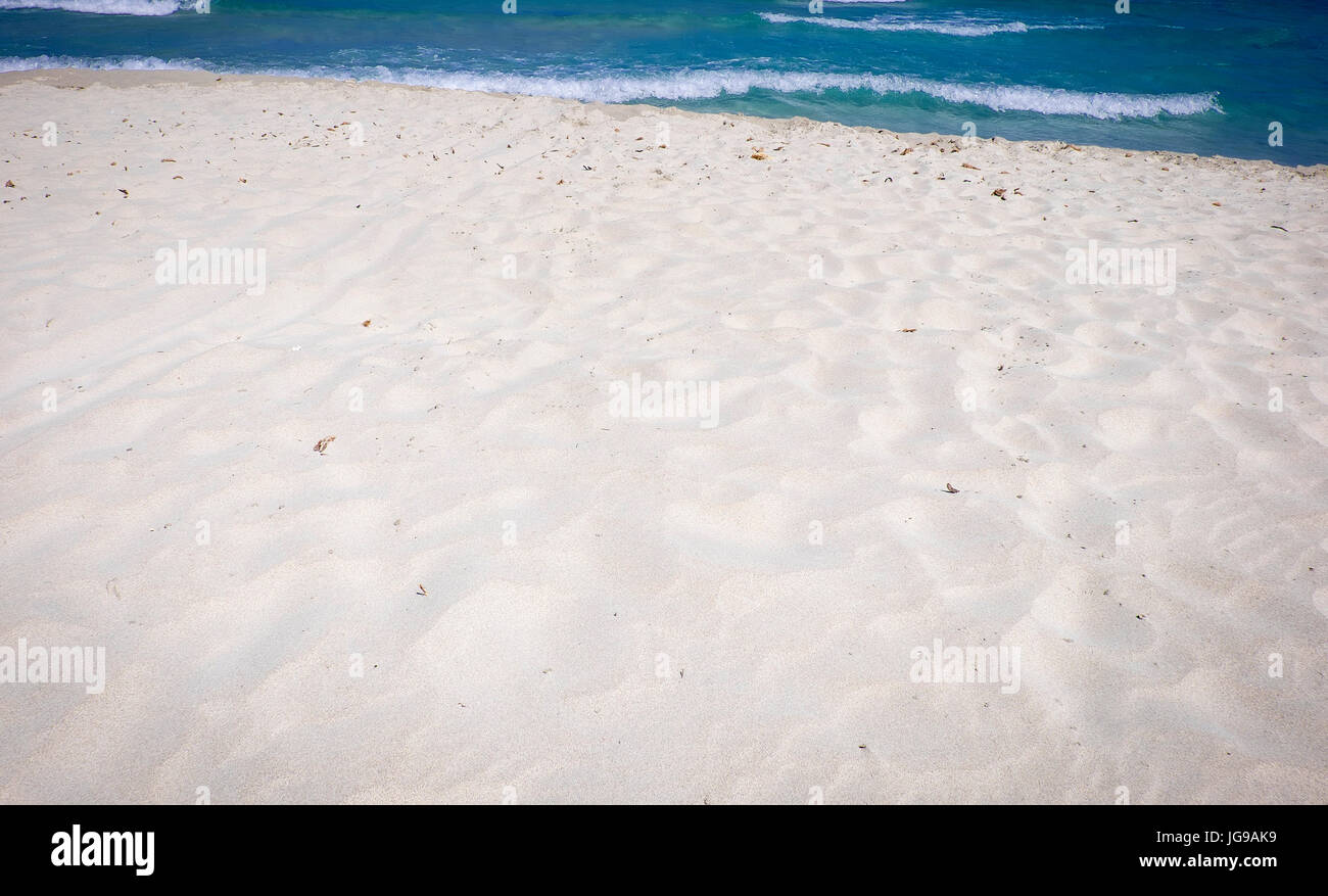Sunny Somewhere Women Sardines of Sardinia Everyday Tee main image 0