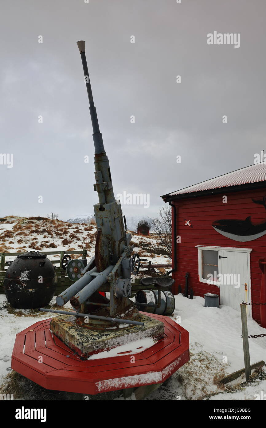 Anti-aircraft machine gun placed along with other weapons in the garden of an eccentrically decorated red-white townhouse in Nordmela-Andoya island-Lo Stock Photo