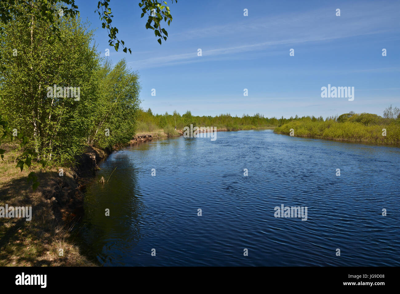 The river flows in the spring among the woods. May water landscape in ...