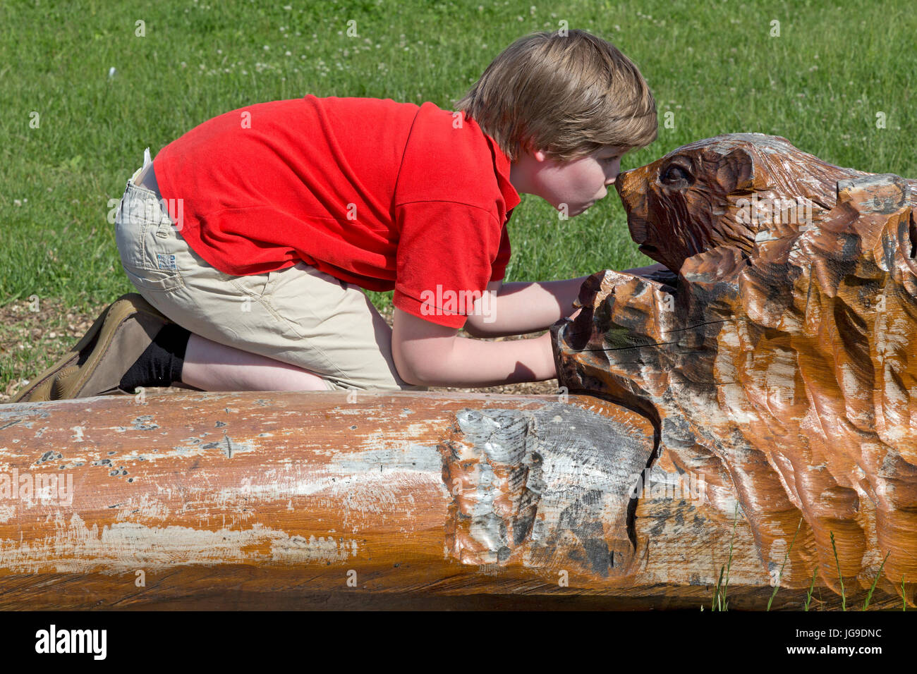 young boy imitating beaver, Boizenburg, Mecklenburg-West Pomerania, Germany Stock Photo