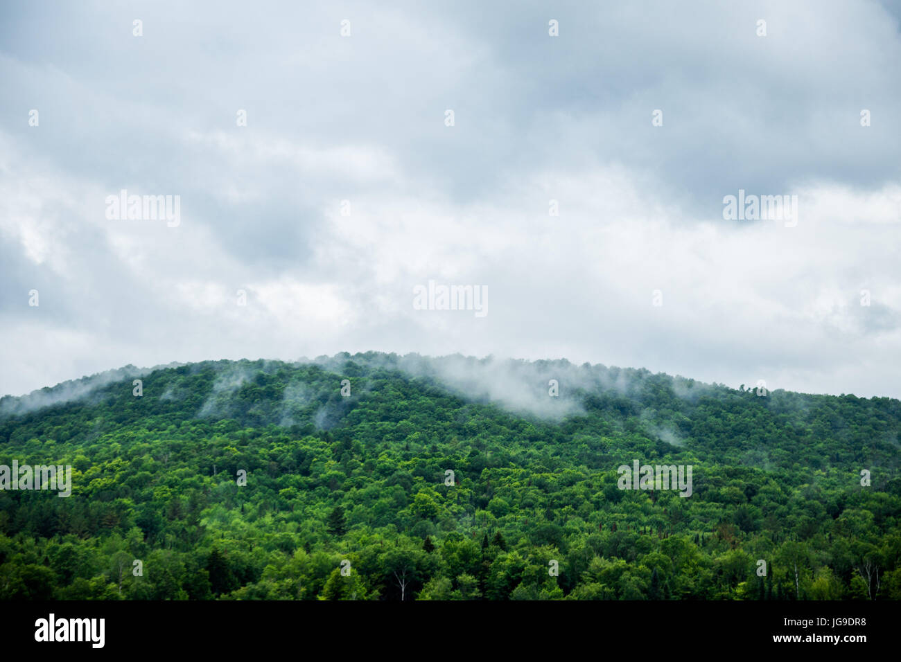 A quiet morning at Neal Pond, Vermont Stock Photo Alamy