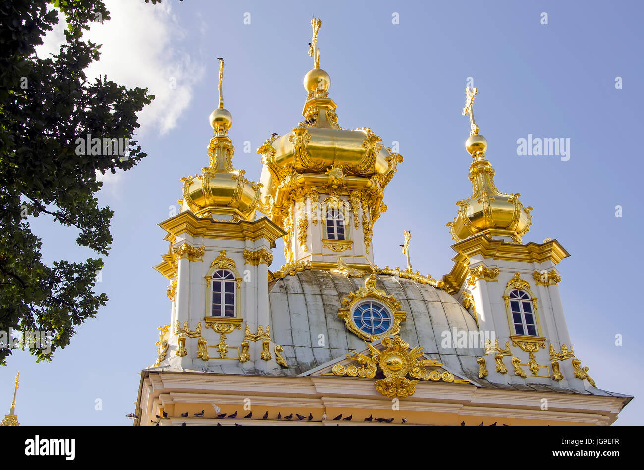 Peterhof Palace gilded  domes of the Peter and Paul Cathedral at the Grand Palace located near Saint Petersburg, Russia Stock Photo