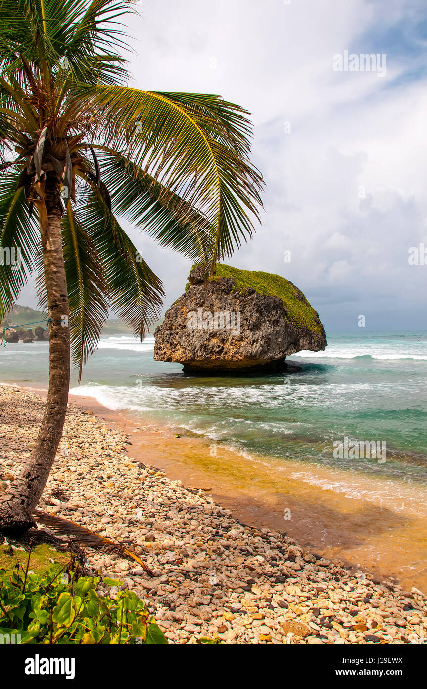 Dramatic rock formation on Atlantic east coast at Bathsheba Barbados Stock Photo