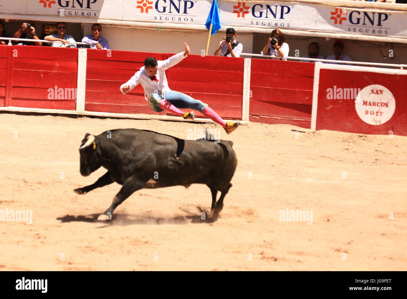 Bull Ring Acrobatics Stock Photo