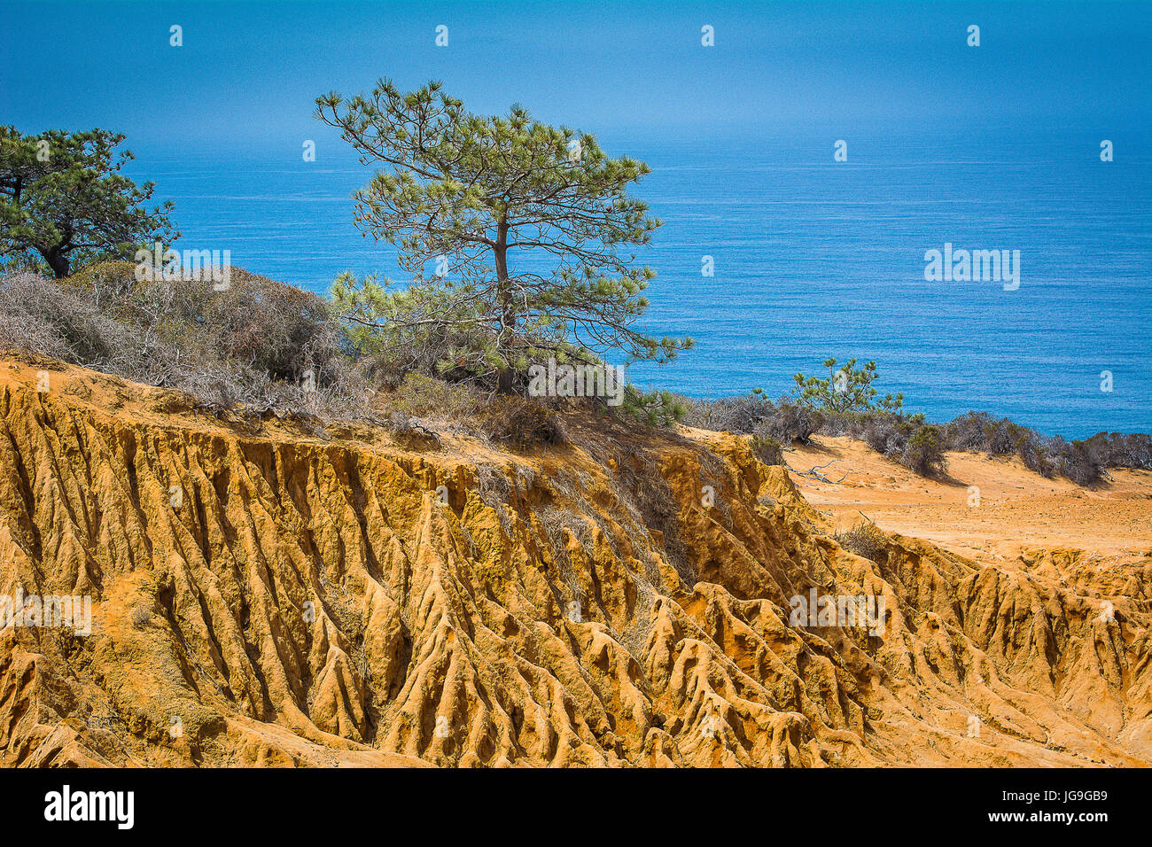 A hiking trail at Torrey Pines State Natural Reserve Stock Photo