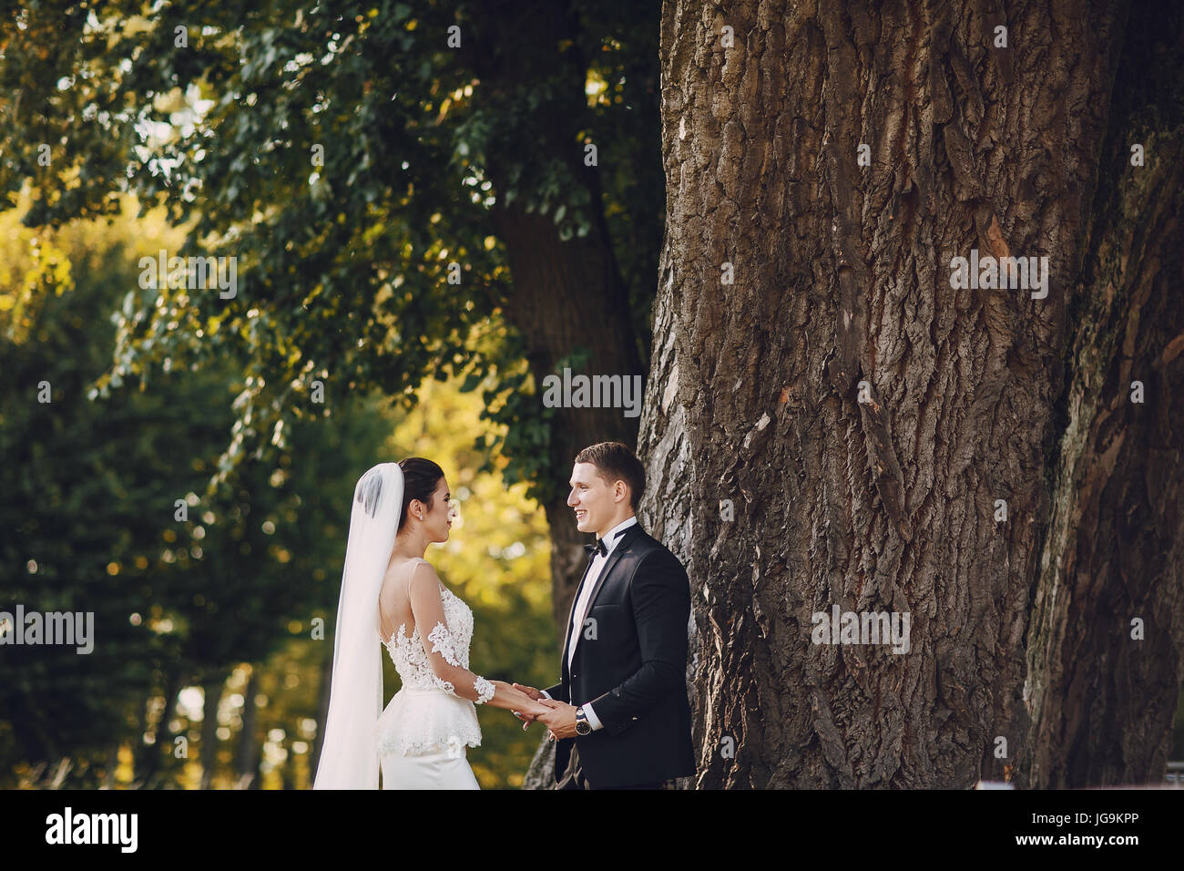 bride and groom walking in summer green park Stock Photo - Alamy