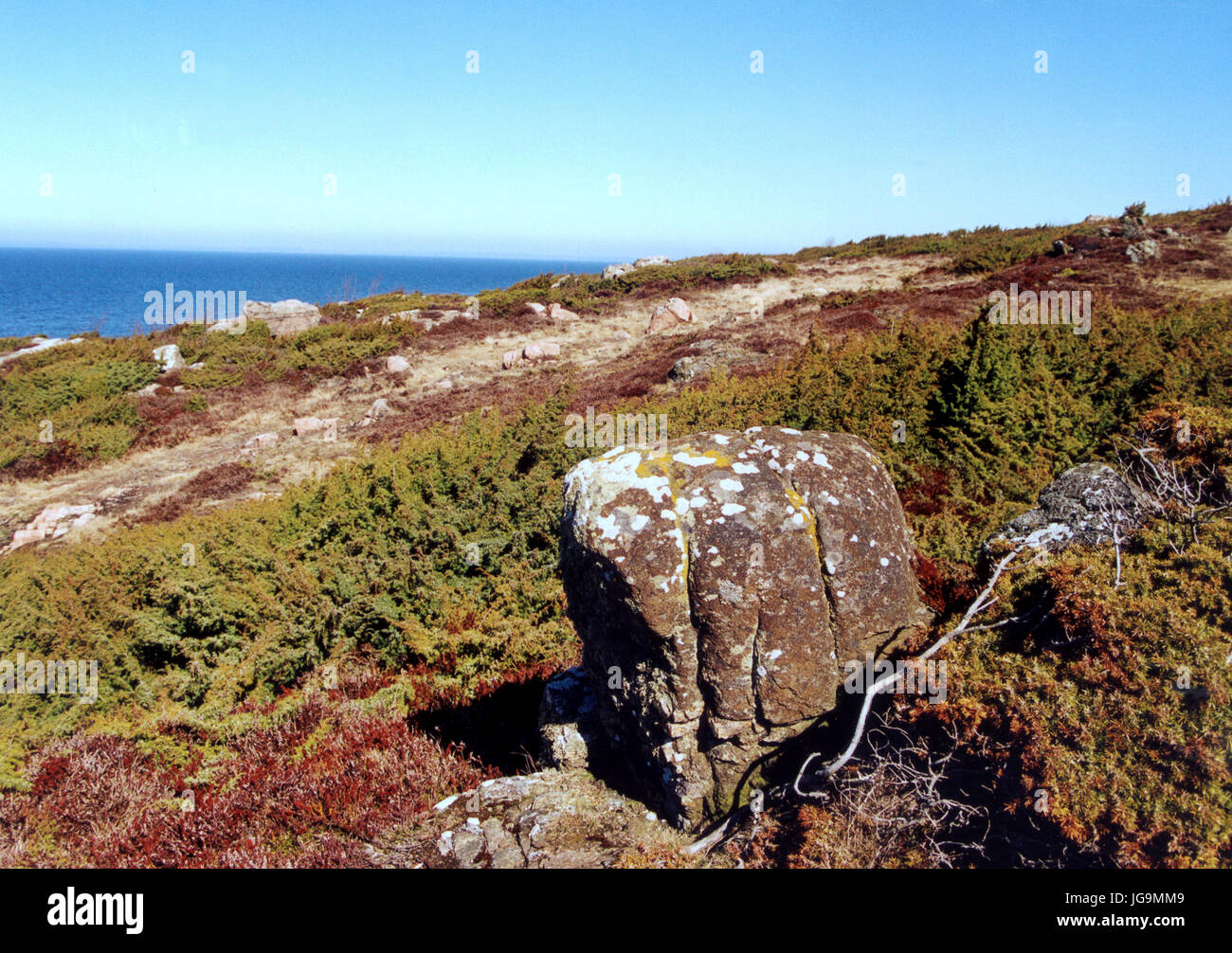 HOVS HALLAR Skåne nature reserve 2004 Stock Photo