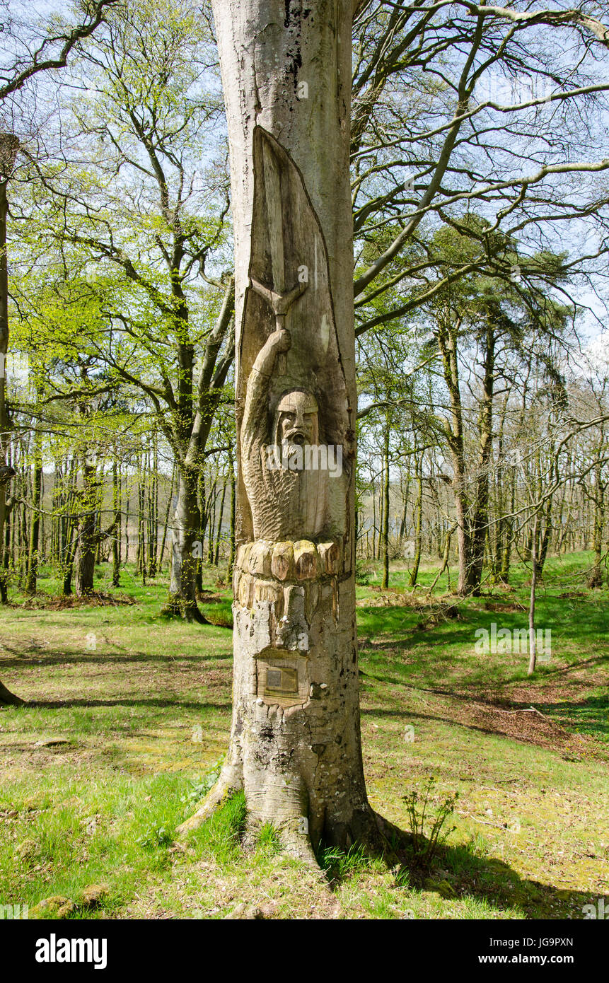 Robert the Bruce carved into a tree at Castle Loch,Lochmaben,Dumfriesshire Stock Photo