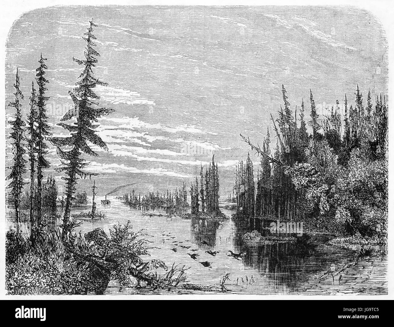 wet landscape with flat water and vegetation in Thousand islands in the Lake Ontario, North America. Ancient grey tone etching style art by Huet 1861 Stock Photo