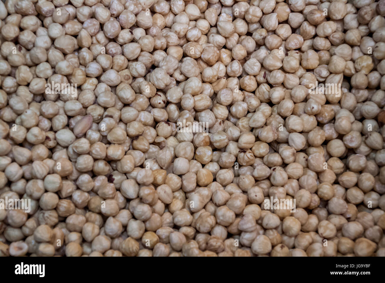 Background nuts, hazelnuts on a crowd, large amount of hazelnuts