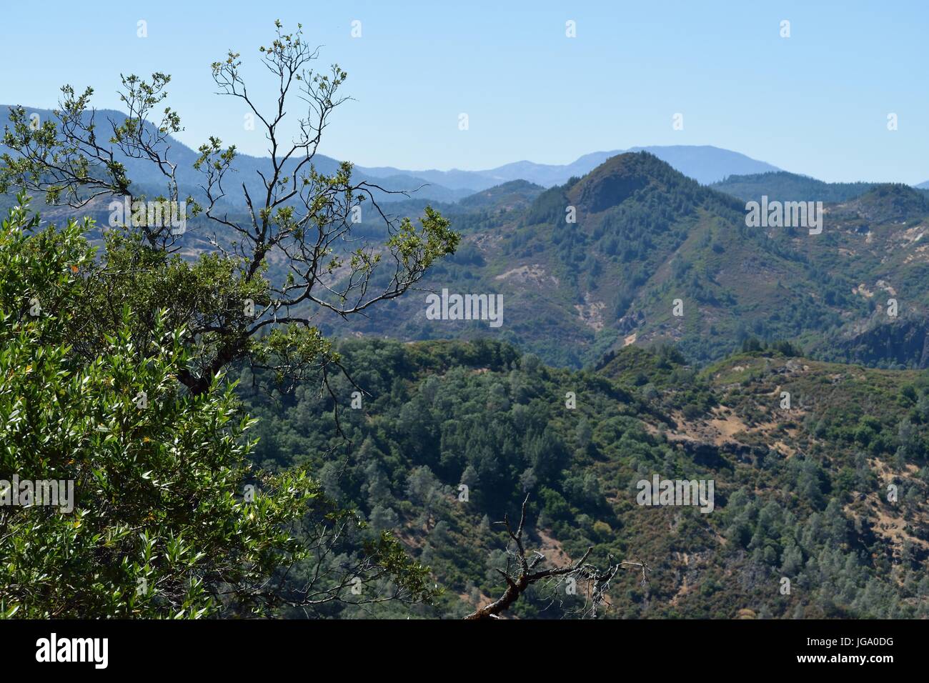 The view from the Dunn-Wildlake Ranch Prserve in Napa Valley Stock Photo