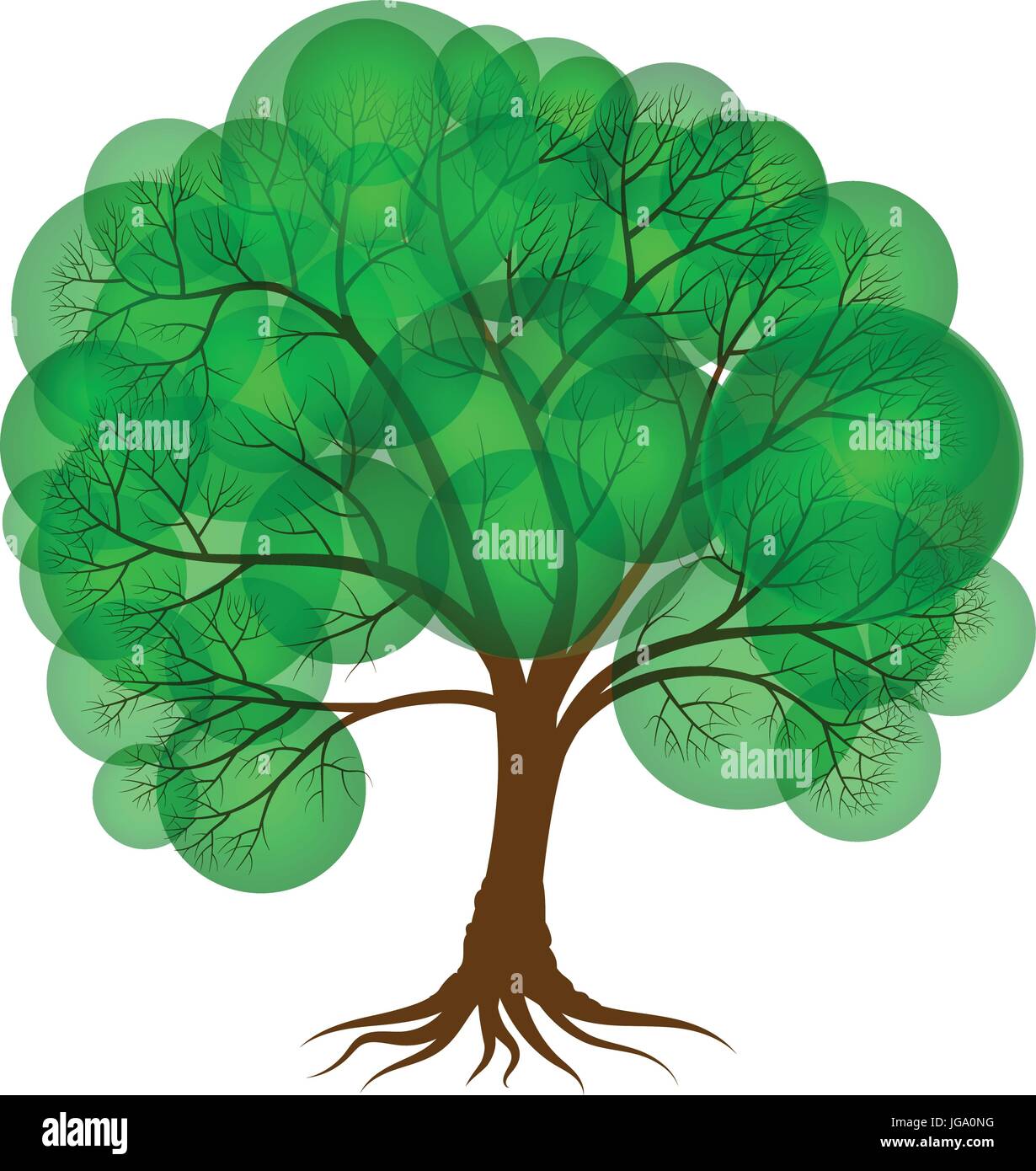 Circles in tree trunk Stock Vector Images Alamy