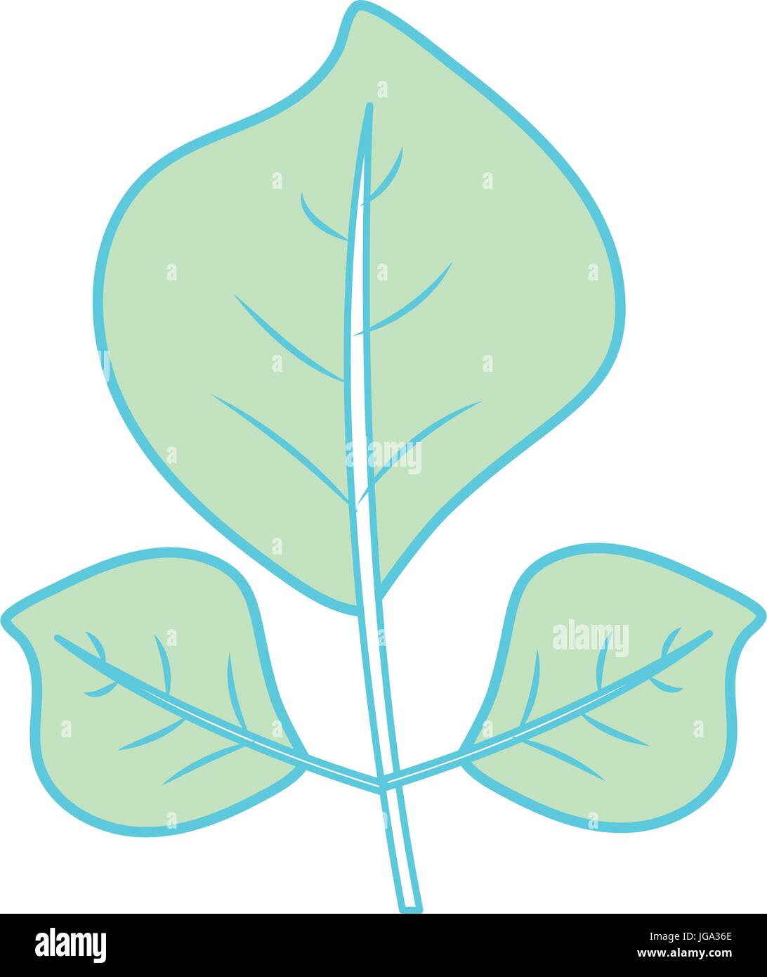 natural leaves botany of tropical plant Stock Vector Image & Art - Alamy