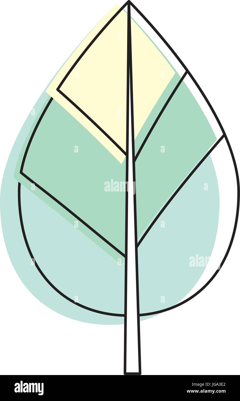 natural leaf botany of tropical plant Stock Vector Image & Art - Alamy