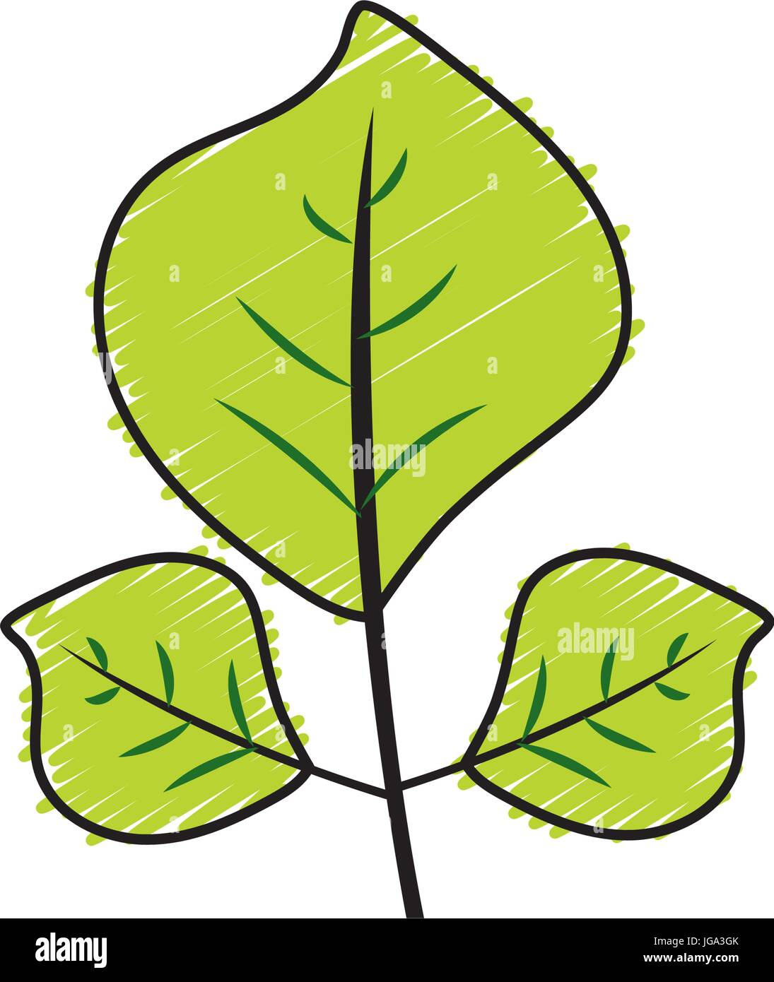 natural leaves botany of tropical plant Stock Vector Image & Art - Alamy