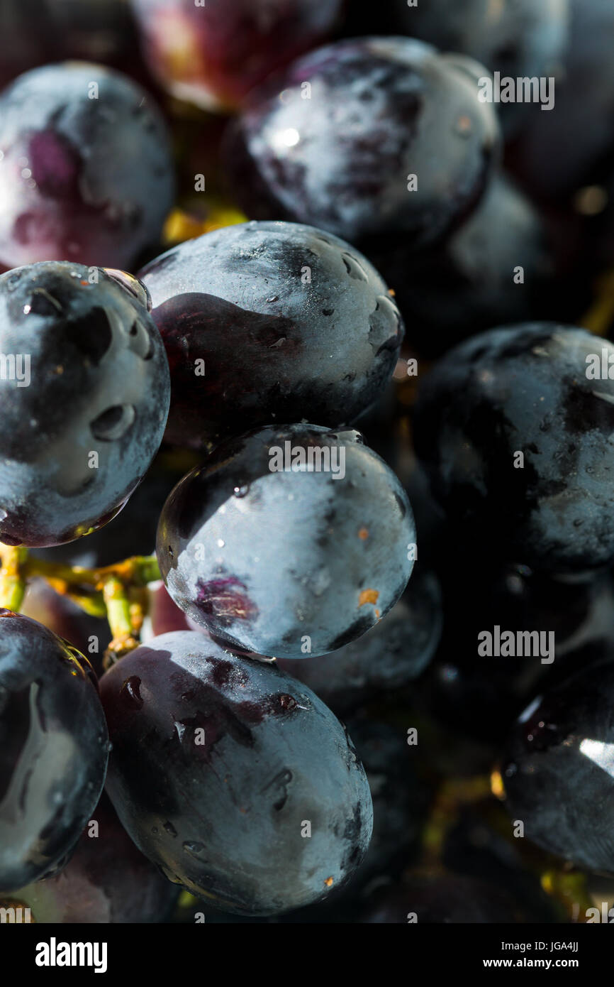 seedless grapes UK Stock Photo