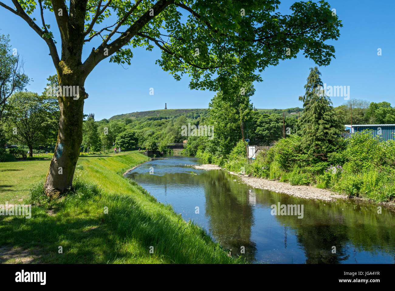 The Peel Tower, or Holcombe Tower, on Holcombe Hill, from the river Irwell at Ramsbottom, Greater Manchester, UK. Stock Photo