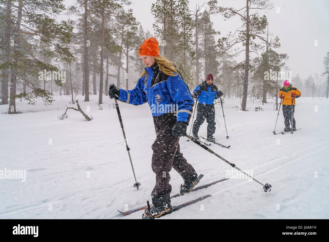 Cross Country Skiing, Lapland, Finland Stock Photo