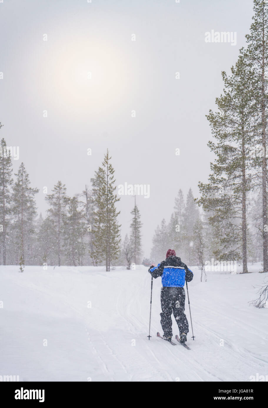 Cross Country Skiing, Lapland, Finland Stock Photo Alamy