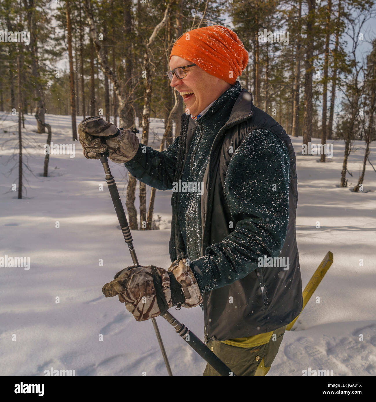 Cross Country Skiing, Lapland, Finland Stock Photo Alamy