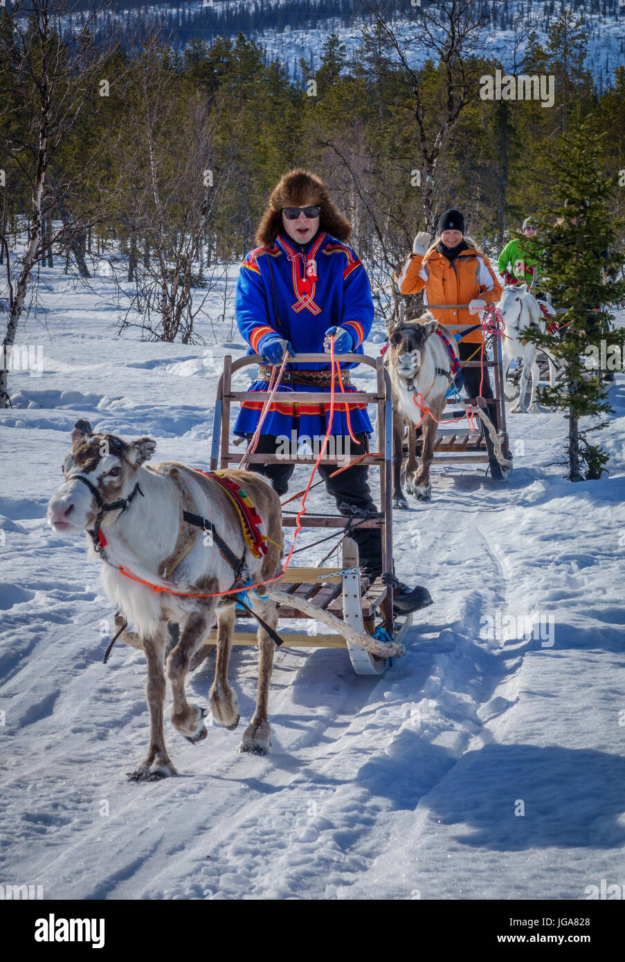 Reindeer Sledding, Lapland, Finland Stock Photo