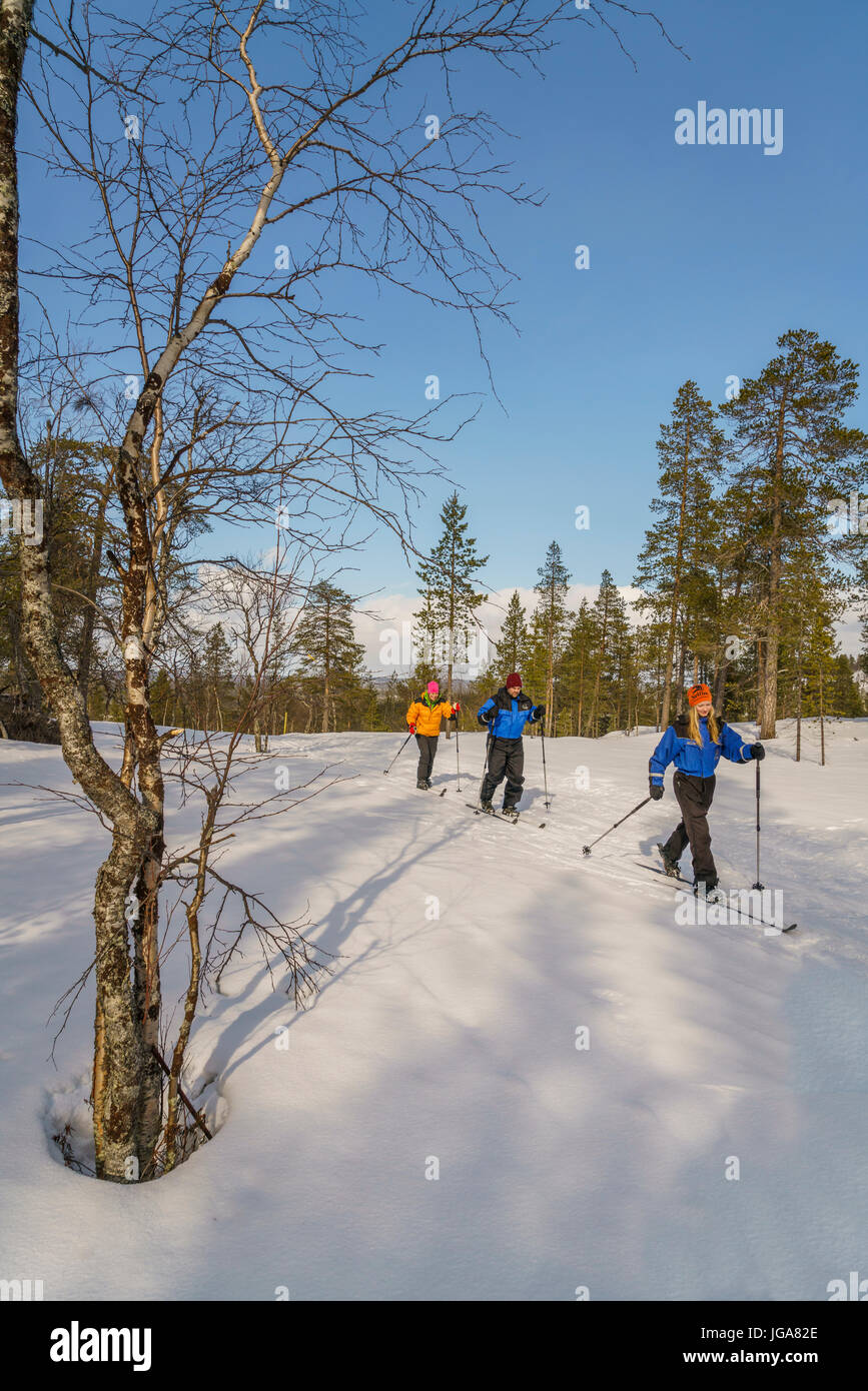 Cross Country Skiing, Lapland, Finland Stock Photo Alamy