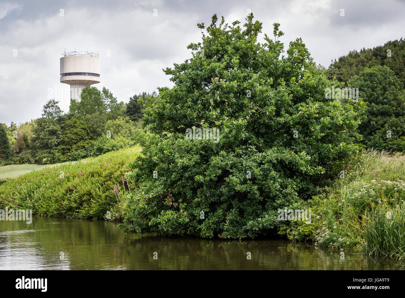Daresbury water tower viewed from across the Bridgewater Canal at Delph Lane Stock Photo