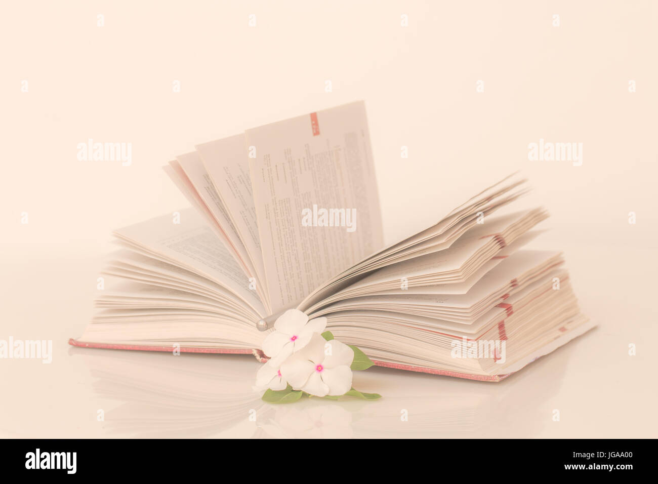 Open book with flowers in the morning, Vintage tone. Stock Photo