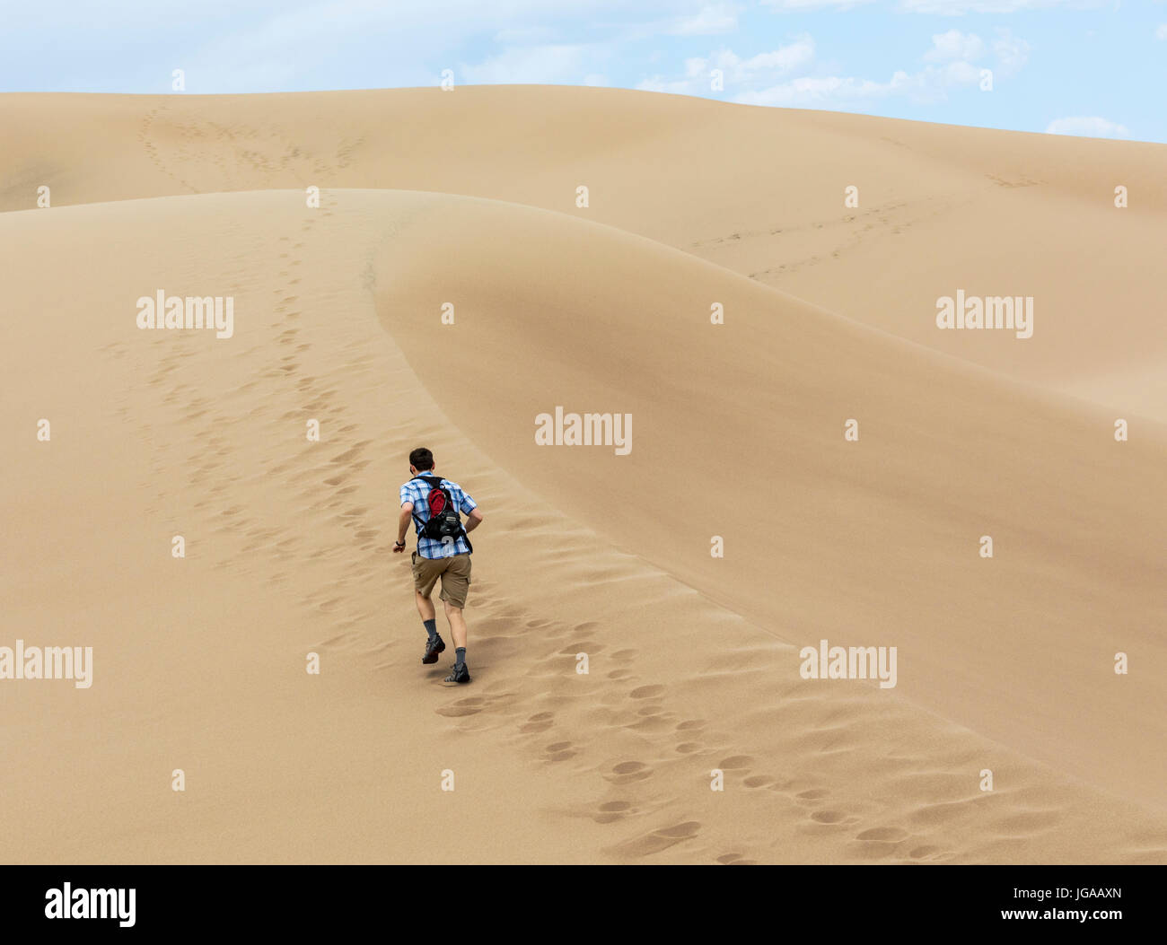 Man jogging & exploring the Great Sand Dunes National Park & Preserve; San Luis Valley; Colorado; USA; 44,246 acres & the preserve an additional 41,68 Stock Photo