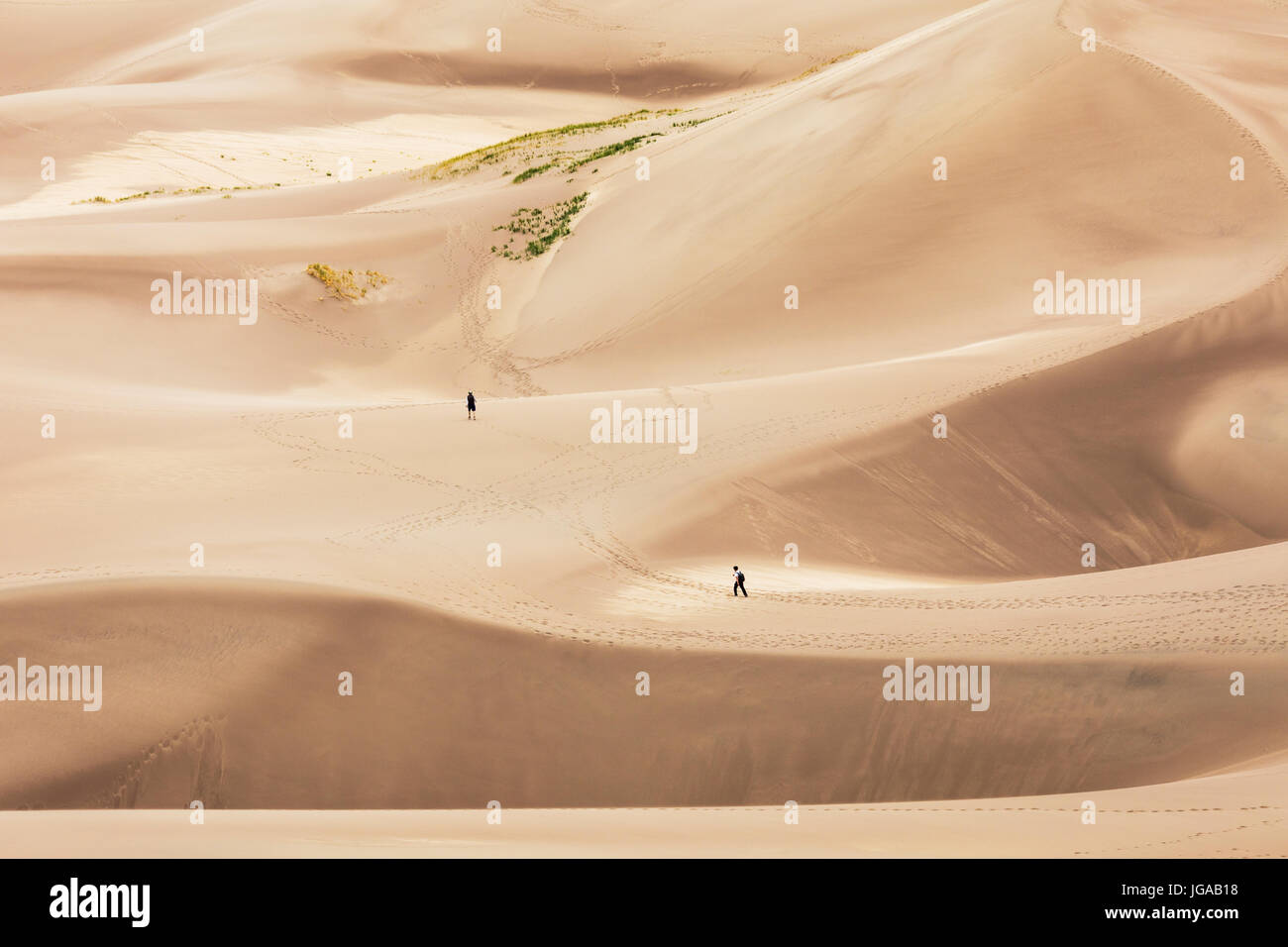 Visitors explore the Great Sand Dunes National Park & Preserve; San Luis Valley; Colorado; USA; 44,246 acres & the preserve an additional 41,686 acres Stock Photo