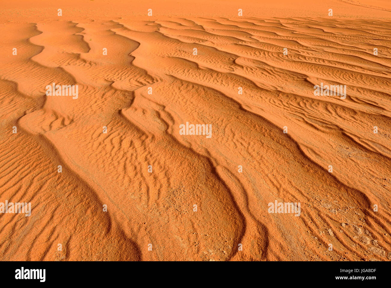 Sand ripples on sand dunes, Tassili n'Ajjer National Park, UNESCO World Heritage Site, Sahara desert, Algeria Stock Photo