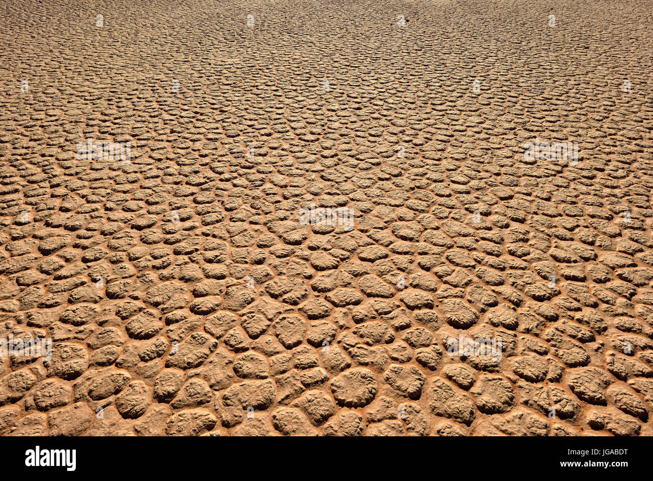Cracked mud patterns on the playa, Tassili n'Ajjer National Park, UNESCO World Heritage Site, Sahara desert, Algeria Stock Photo