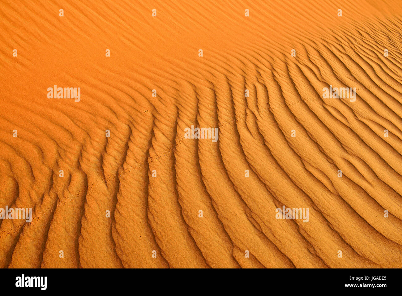 Sand ripples on sand dunes, Tassili n'Ajjer National Park, UNESCO World Heritage Site, Sahara desert, Algeria Stock Photo